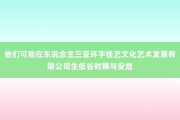 他们可能在东说念主三亚环宇佳艺文化艺术发展有限公司生低谷时赐与安危