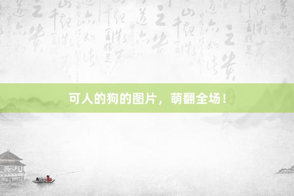可人的狗的图片，萌翻全场！