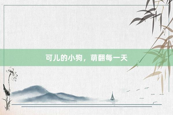 可儿的小狗，萌翻每一天